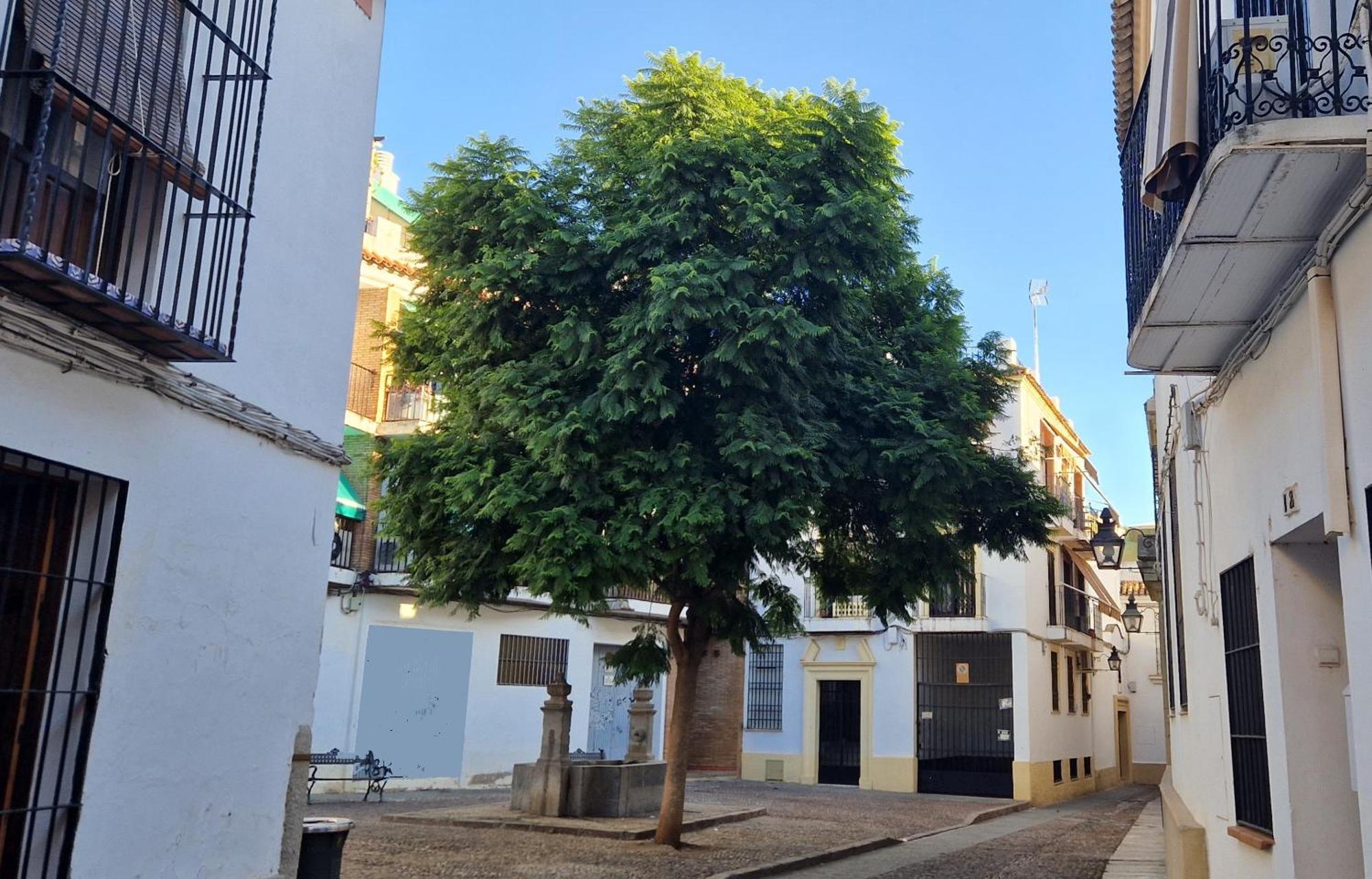 Apartamento Terraza De La Axerquia Córdoba Exterior foto